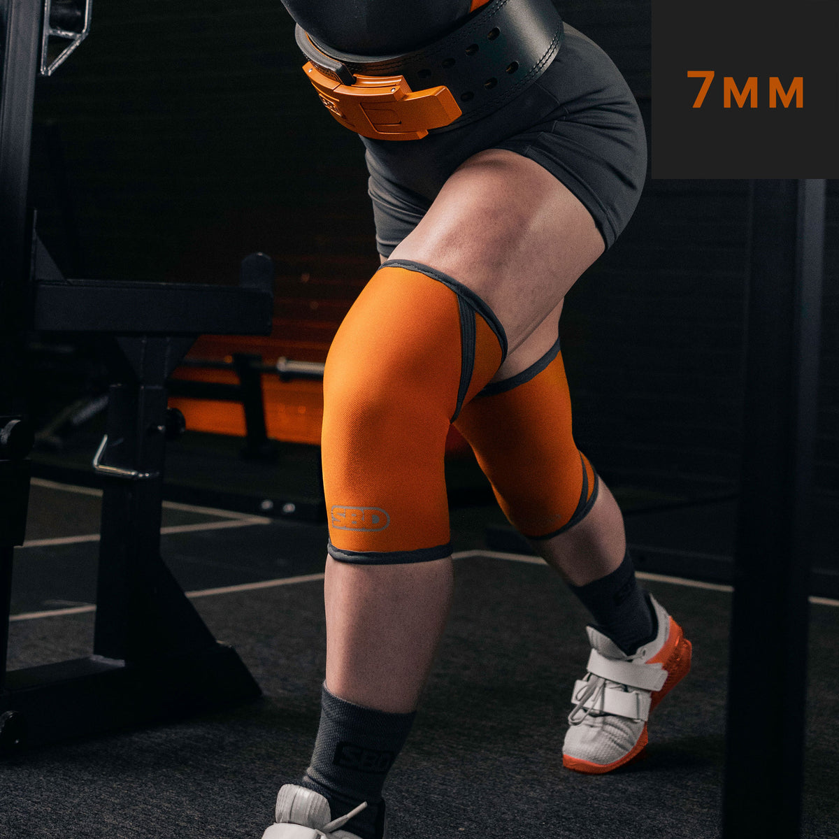 SBD Knee Sleeves (Forge Range 2024)