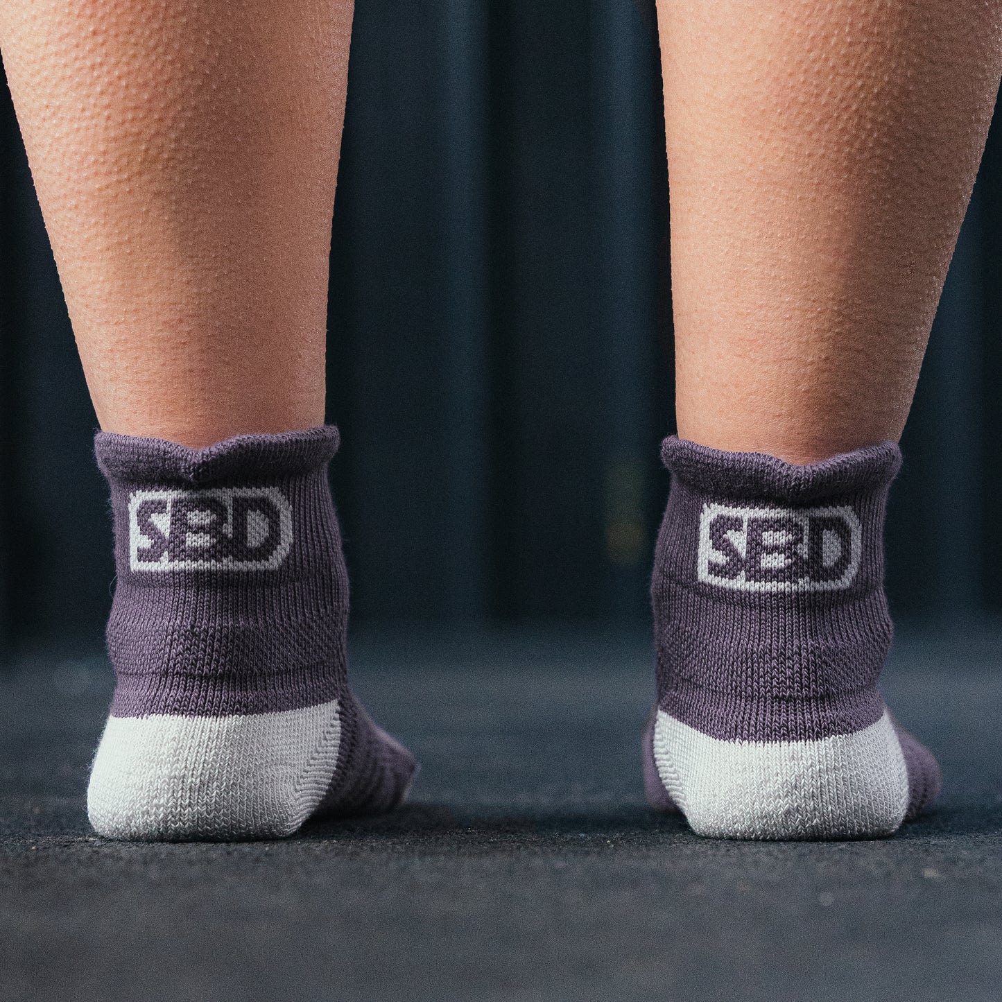 SBD Trainer Socks (Aspire Range 2025)